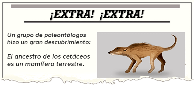 Ilustración Pakicetus